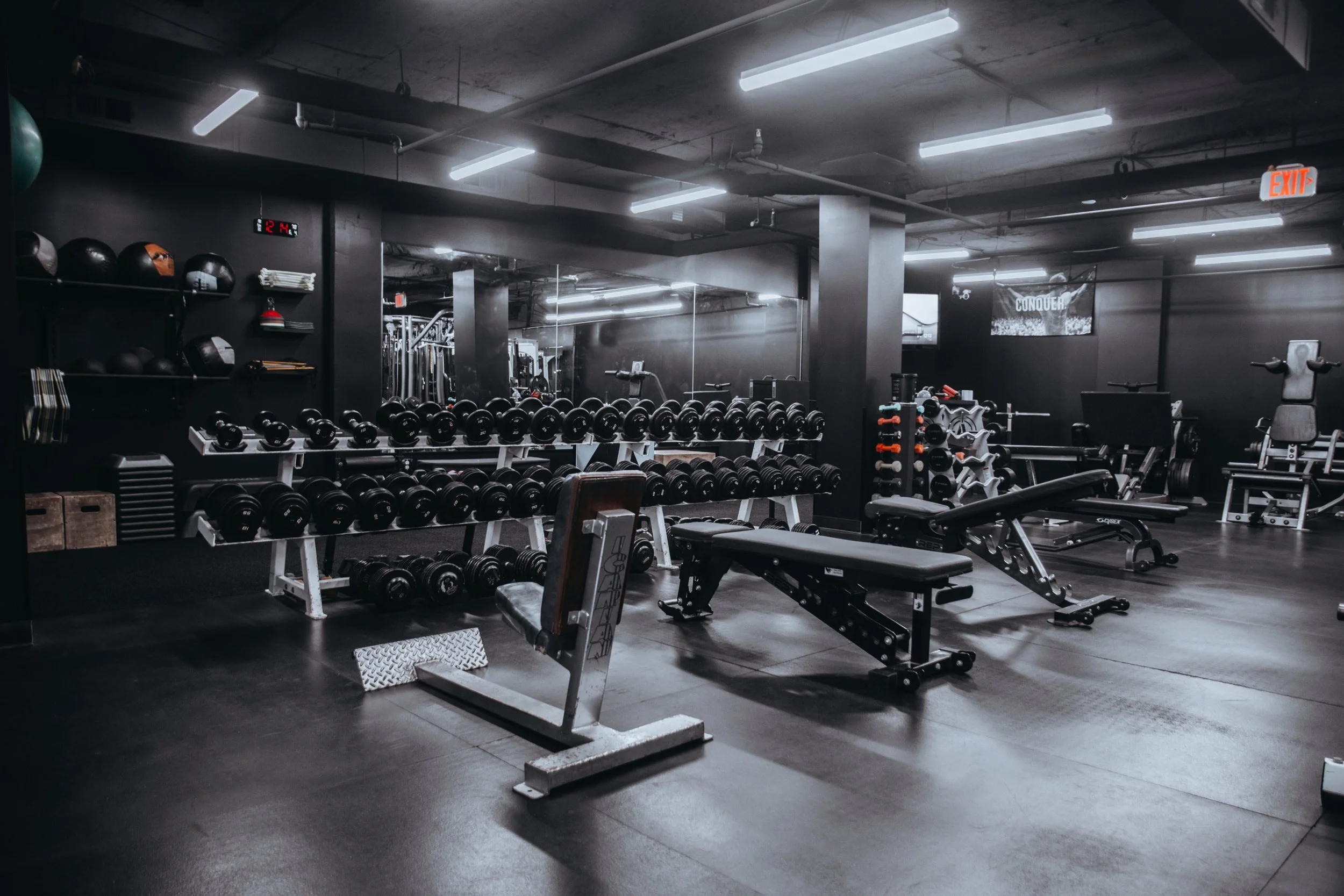 Free weights, benches, and strength training equipment at District Barbell in Fairfax